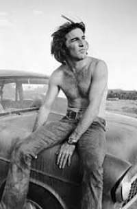 Theme song by Dennis Wilson